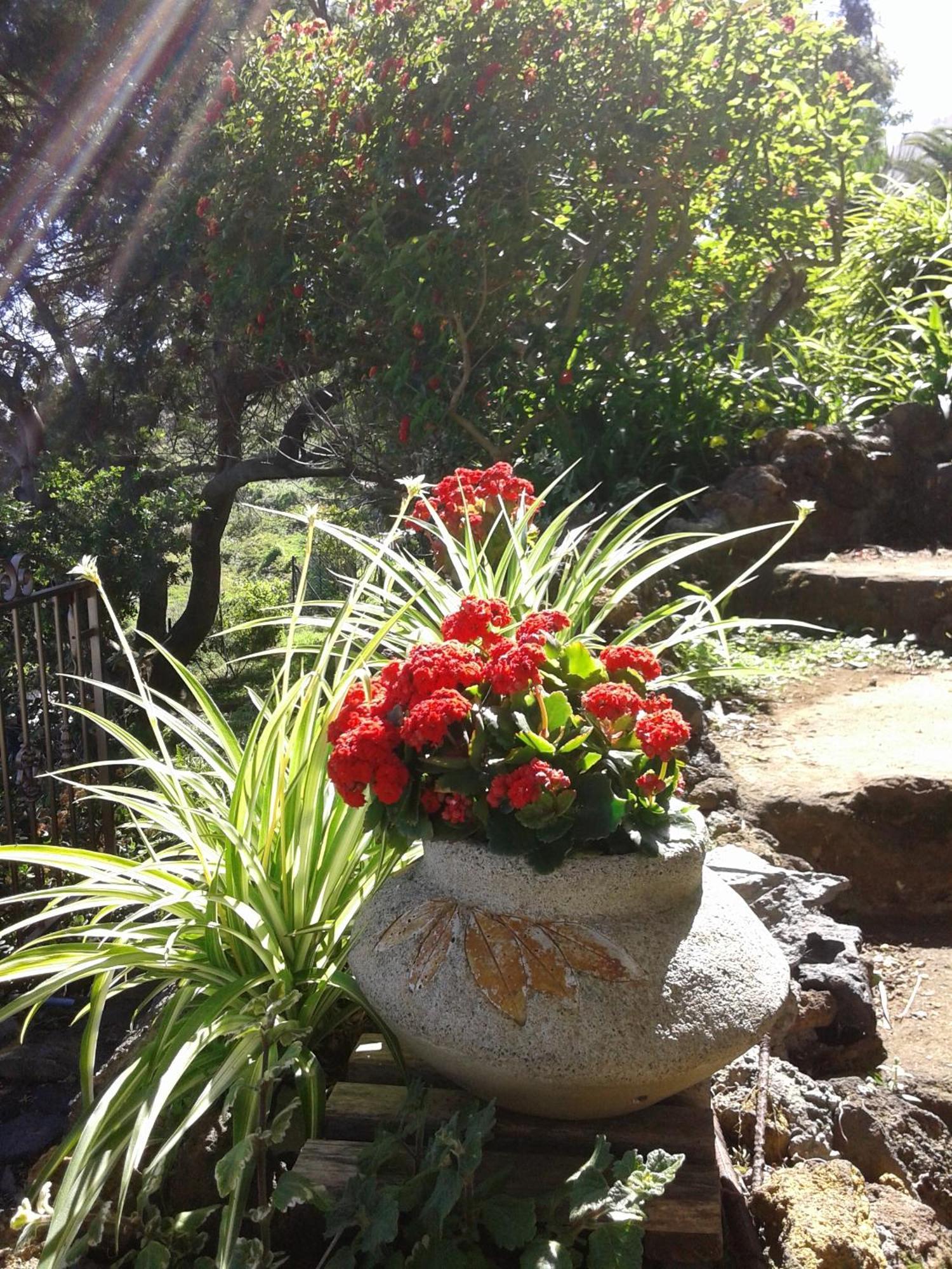 הוילה Monte de Brena Casa Roberta מראה חיצוני תמונה